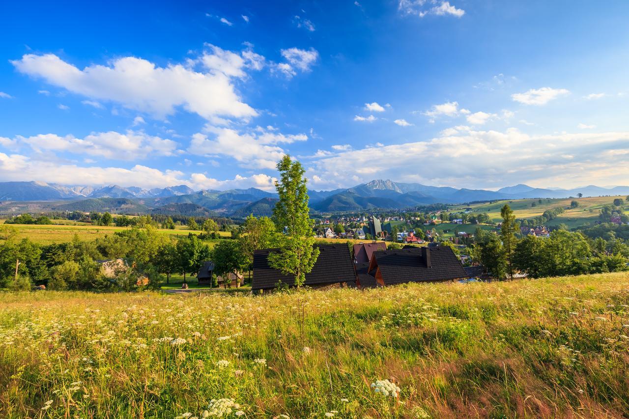 Domki Tatrzanski Ogrod Regional Houses Zakopane Exterior foto