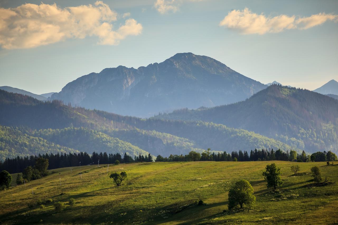 Domki Tatrzanski Ogrod Regional Houses Zakopane Exterior foto